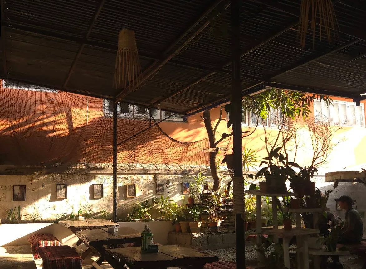 The covered garden seating area in warm afternoon light.