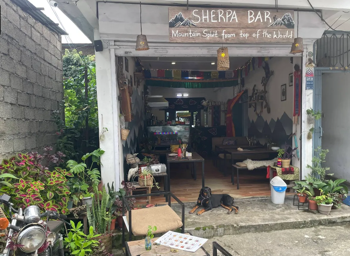 Coco resting at the plant-framed entrance of the Sherpa Bar by day.